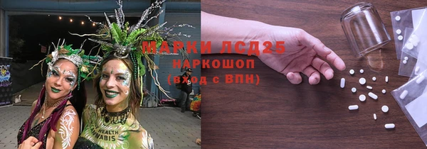 сатива Новодвинск